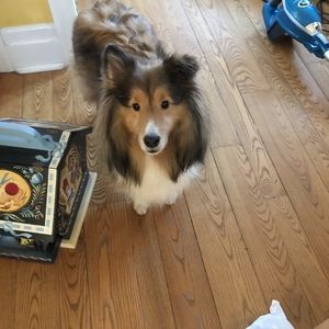 Meet your Posher, Aidan